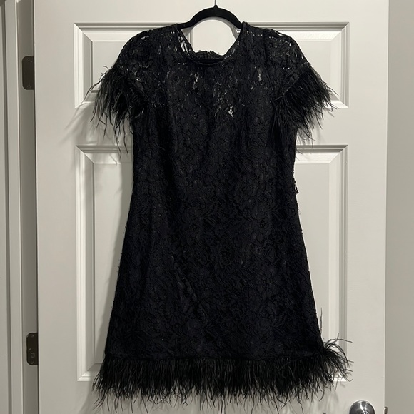 Aidan Mattox Dresses & Skirts - Aidan Maddox Black Lace and Feather dress